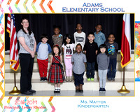 Adams Elementary Groups