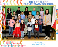 Buice Class Groups